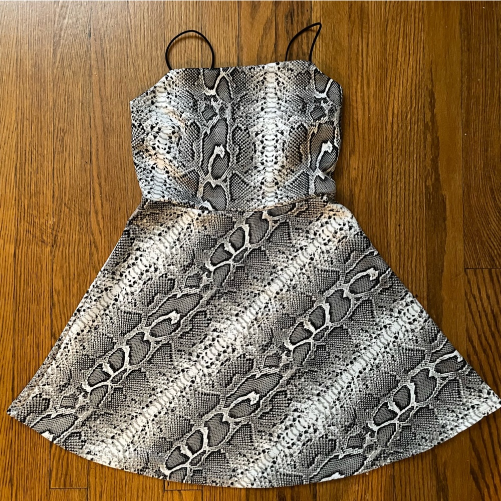 Streetwear Society Snake Print Fit and Flare Mini Dress